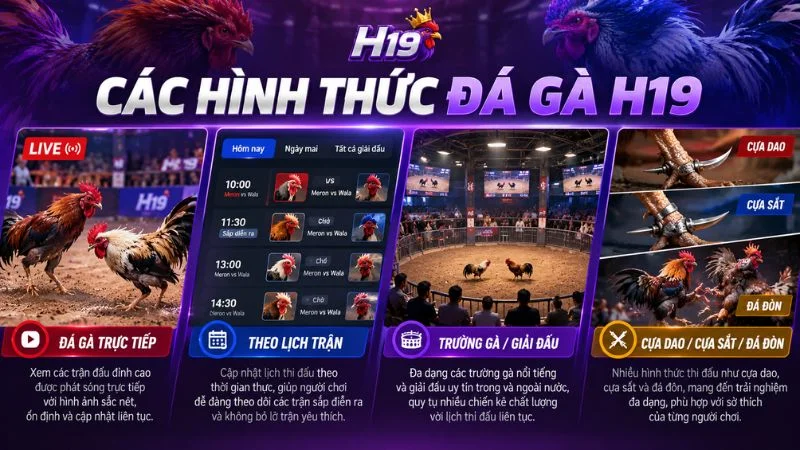 Các hình thức Đá Gà H19 gồm đá gà trực tiếp lịch trận và các trường gà