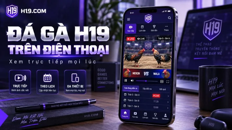 Người dùng xem Đá Gà H19 trực tiếp trên điện thoại