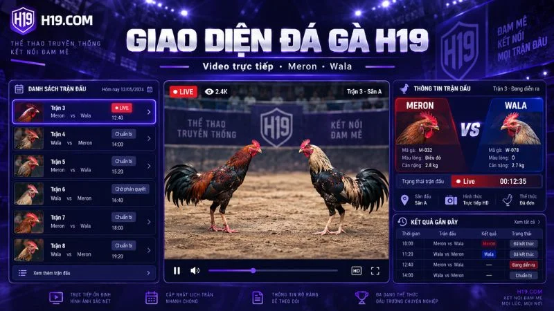 Giao diện Đá Gà H19 với video trực tiếp và bảng thông tin Meron Wala