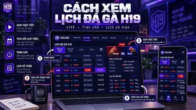 Người dùng xem lịch và trạng thái trận đấu Đá Gà H19